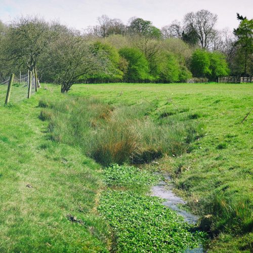 Wild Canvas A PopUp Camping Experience beside River Great Ouse