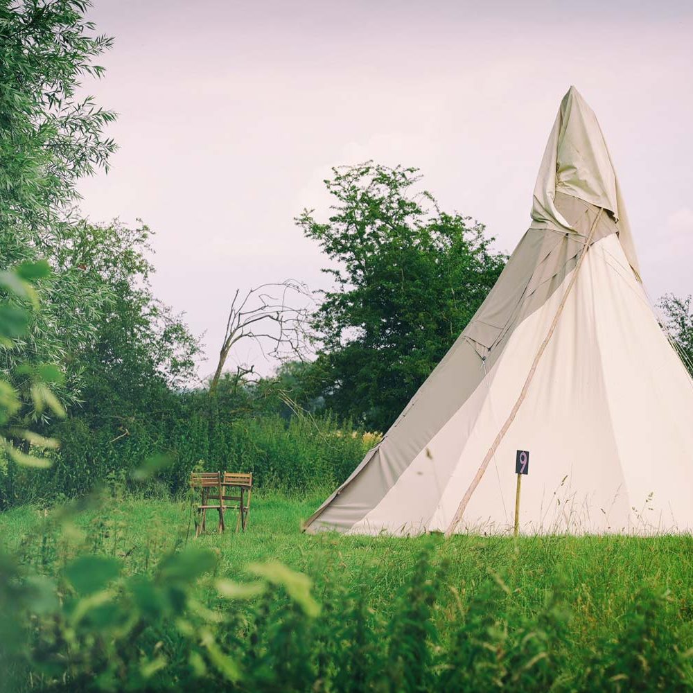 Wild Canvas A PopUp Camping Experience beside River Great Ouse
