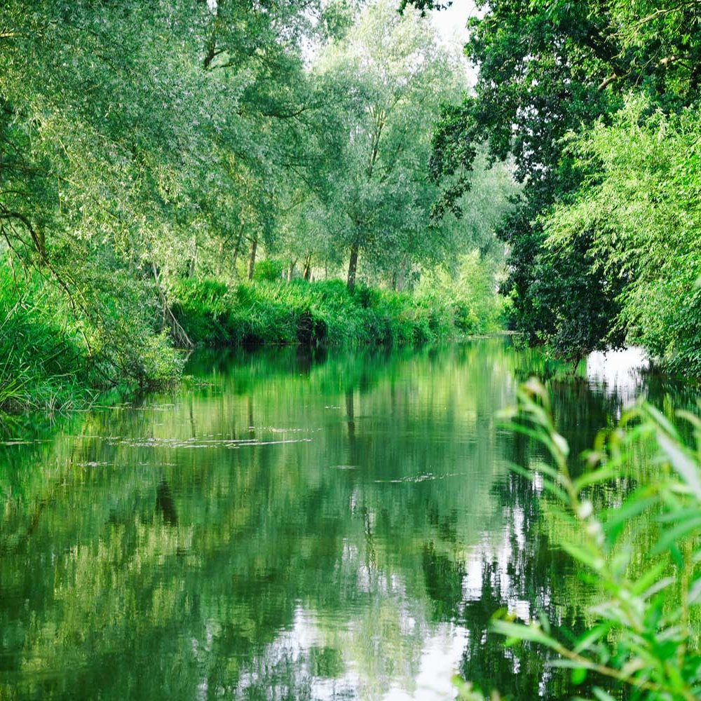 Wild Canvas A PopUp Camping Experience beside River Great Ouse